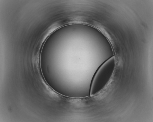 X0000112520909200908171352