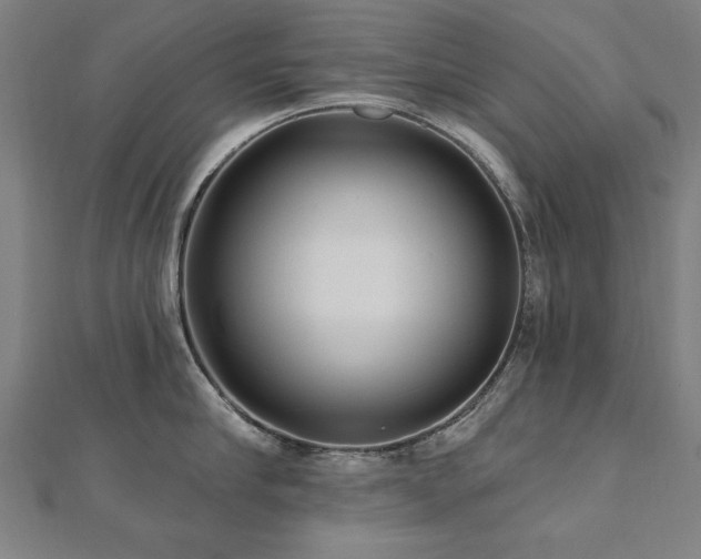 X0000112520910200908171352