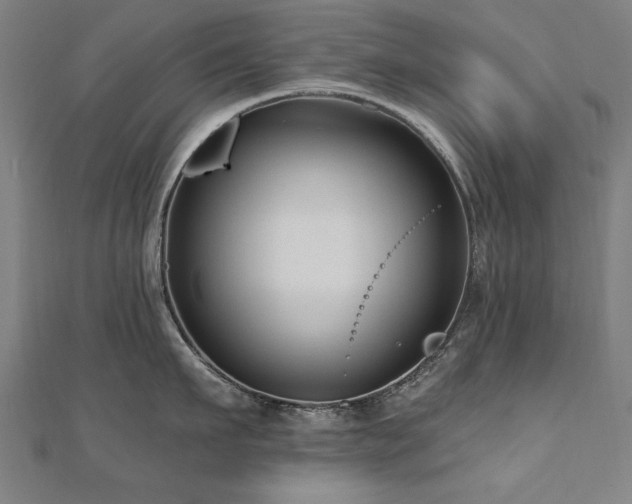 X0000112520911200908171352