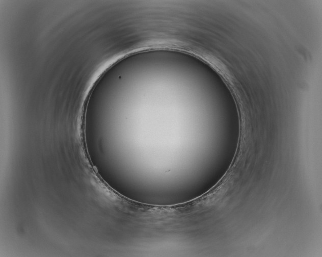 X0000112520912200908171352