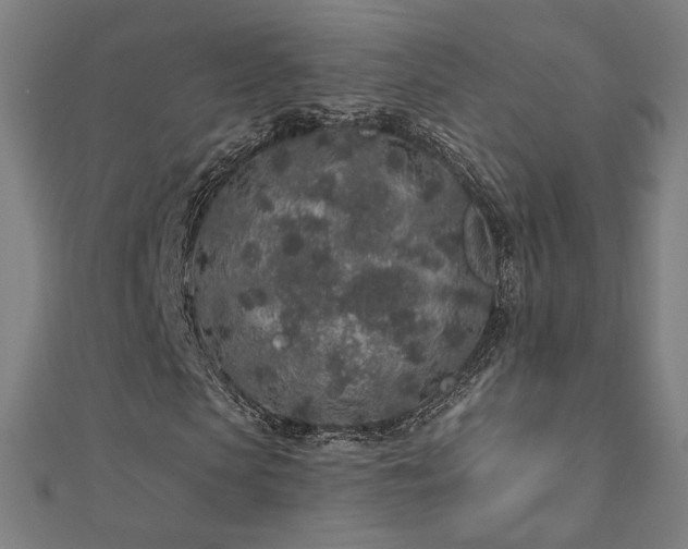 X0000112520913200908171351