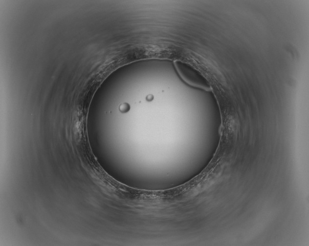 X0000112520914200908171351