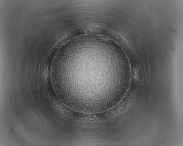 X0000112520915200908171351