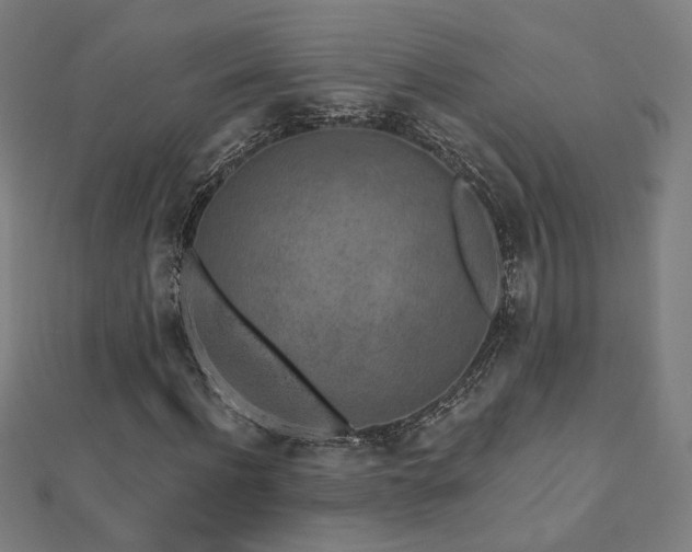 X0000112520916200908171351