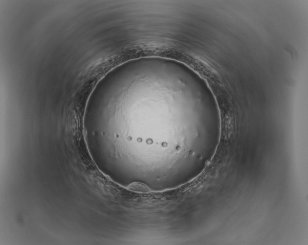 X0000112520917200908171351