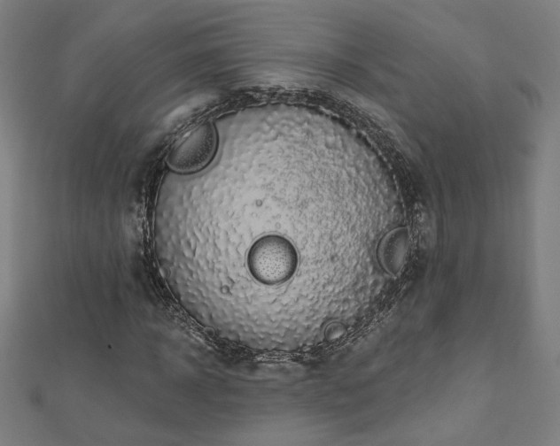 X0000112520918200908171351