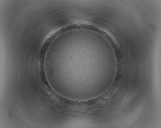 X0000112520919200908171351