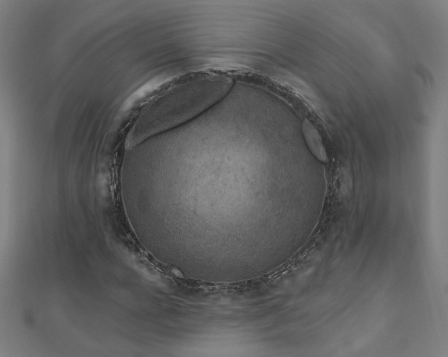 X0000112520920200908171351