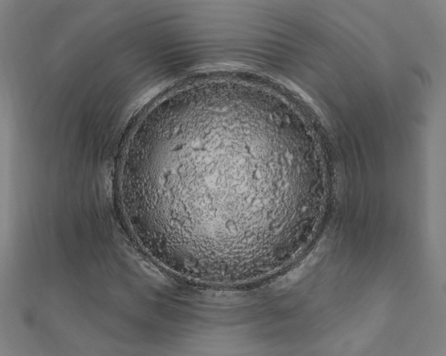X0000112520921200908171351