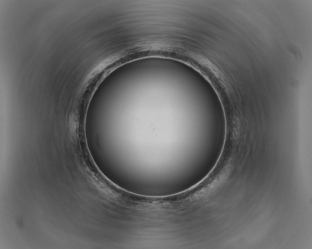 X0000112520922200908171351