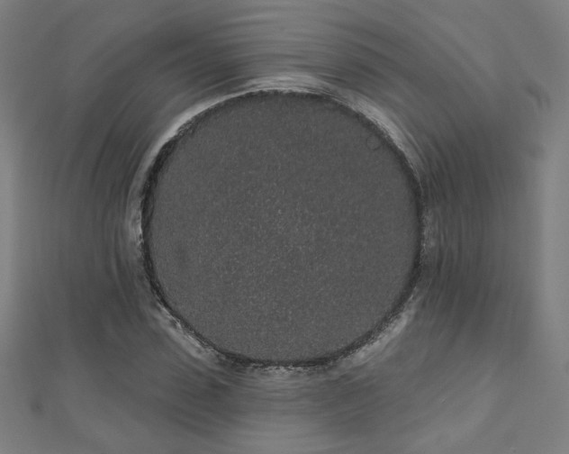 X0000112520923200908171351