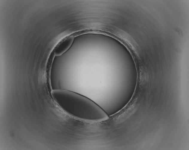 X0000112520924200908171351