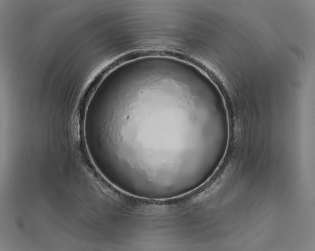 X0000112520925200908171351