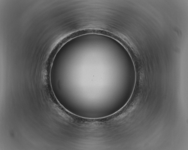 X0000112520926200908171351