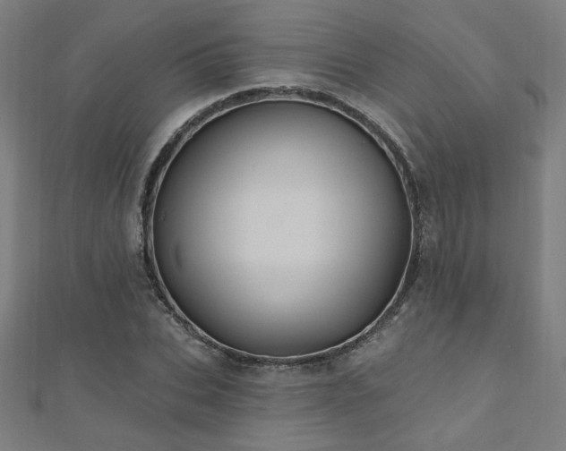 X0000112520927200908171351