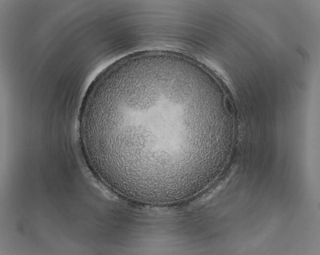 X0000112520928200908171351
