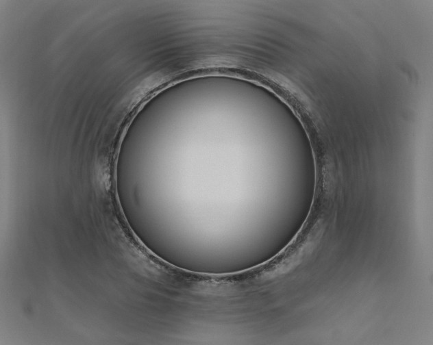 X0000112520929200908171351