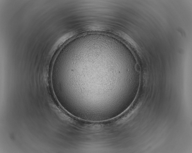 X0000112520930200908171351