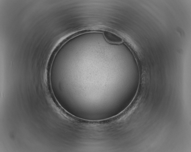X0000112520932200908171351