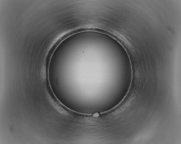 X0000112520934200908171351