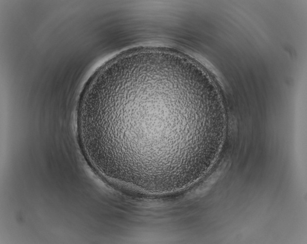 X0000112520935200908171351