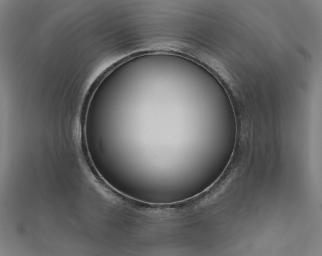 X0000112520936200908171351