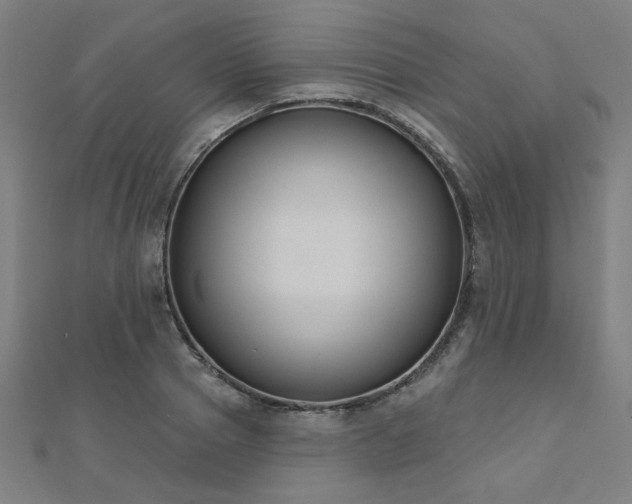 X0000112520937200908171352