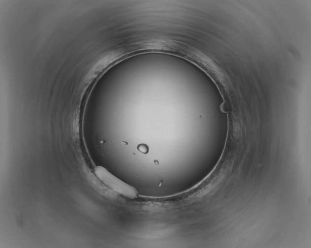 X0000112520938200908171352