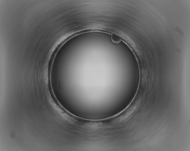 X0000112520939200908171352