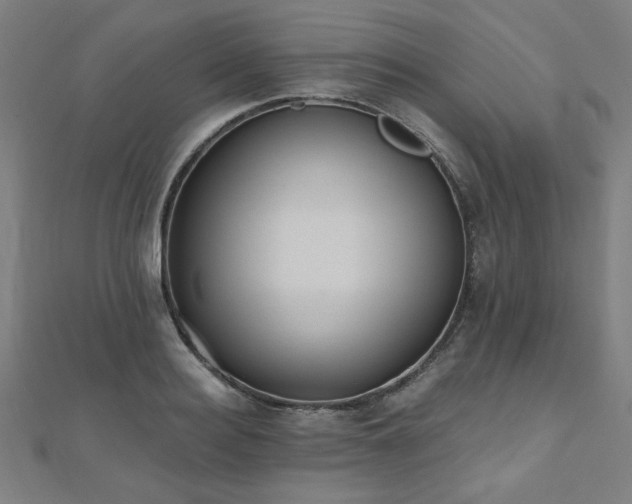 X0000112520940200908171352