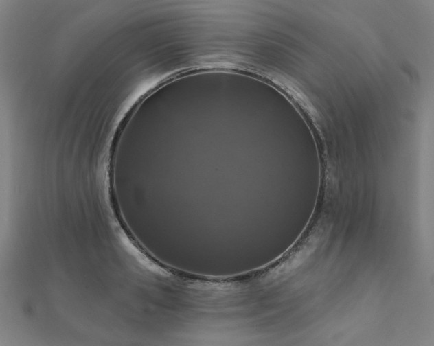 X0000112520941200908171352