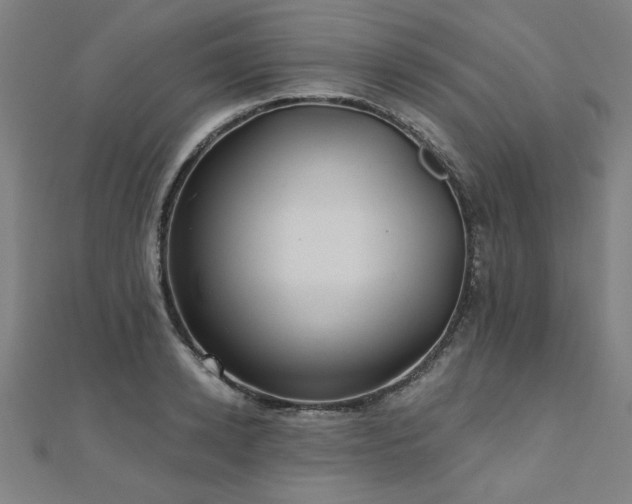 X0000112520942200908171352