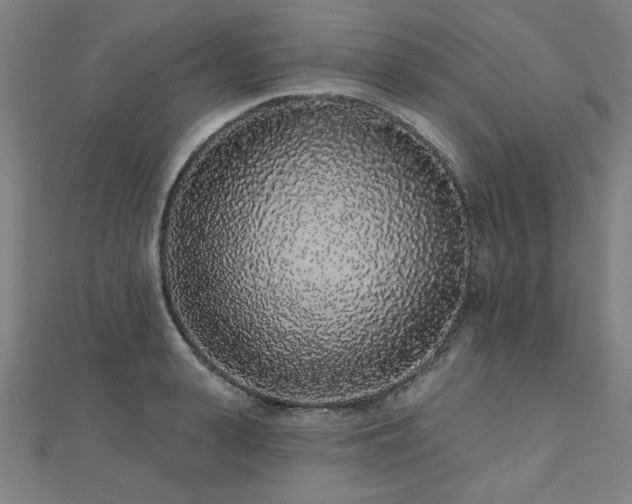 X0000112520943200908171352