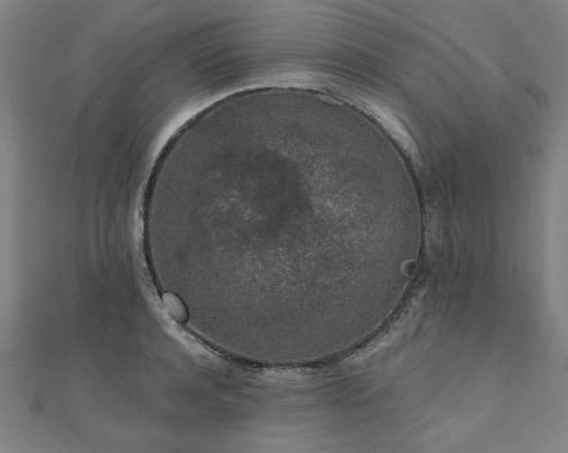 X0000112520944200908171352