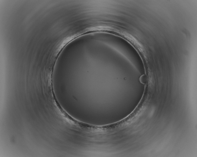 X0000112520945200908171352