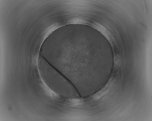 X0000112520946200908171352