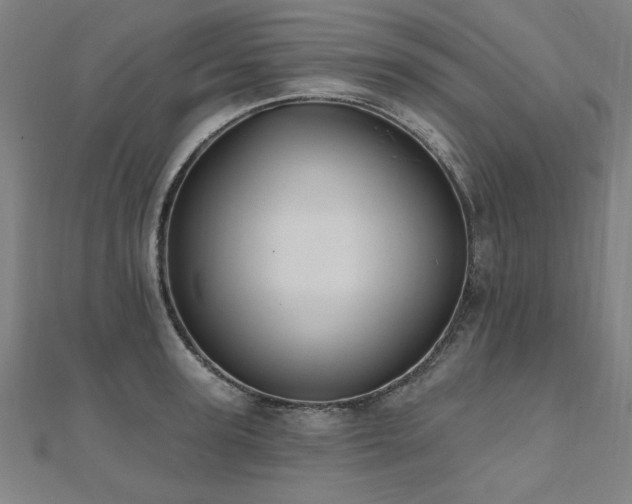 X0000112520947200908171352