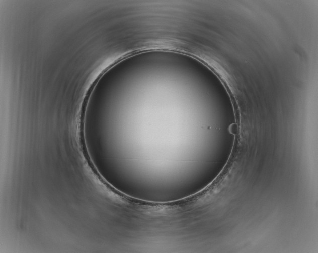 X0000112520949200908171352