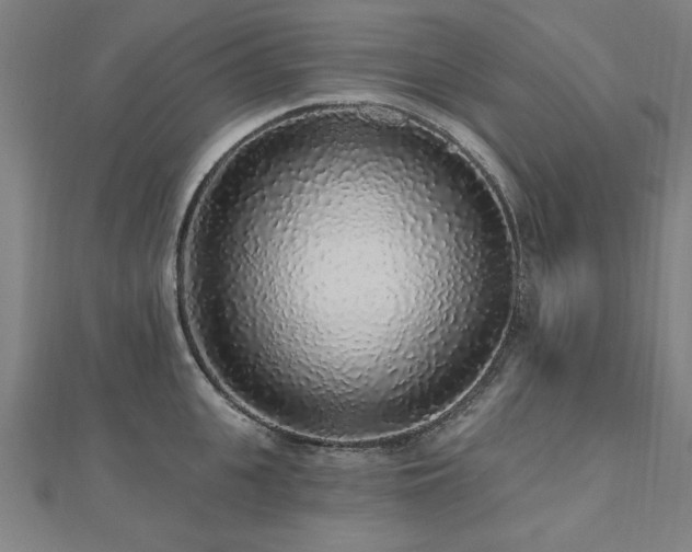X0000112520951200908171352