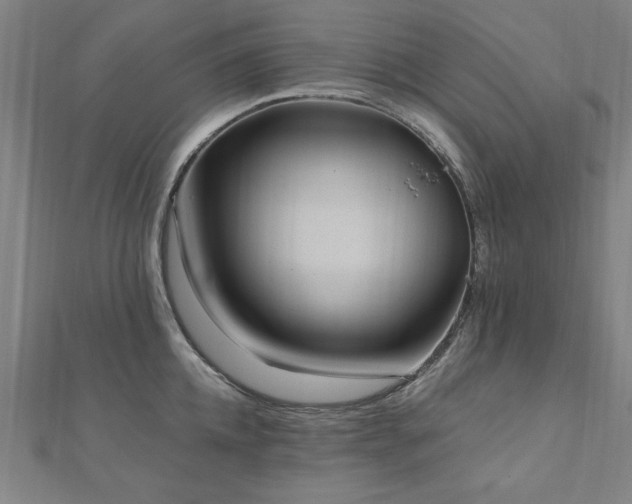 X0000112520952200908171352