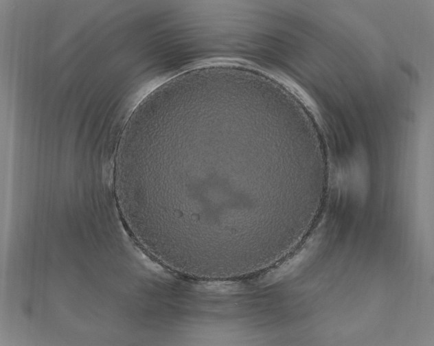 X0000112520953200908171352