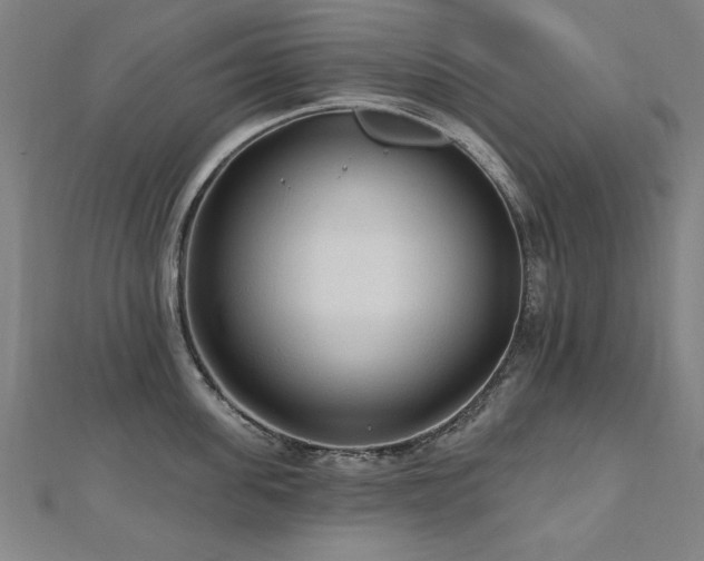 X0000112520955200908171352