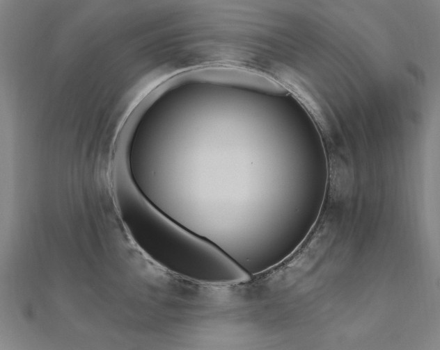 X0000112520956200908171352
