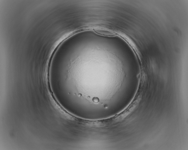 X0000112520957200908171352