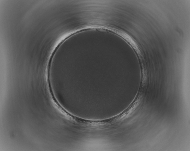 X0000112520958200908171352