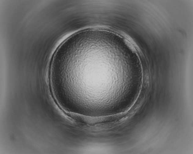 X0000112520959200908171352