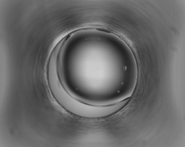 X0000112520960200908171352
