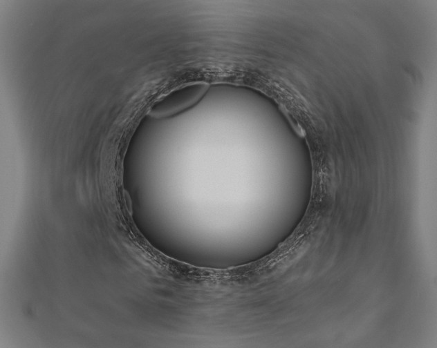 X0000112520961200908171351