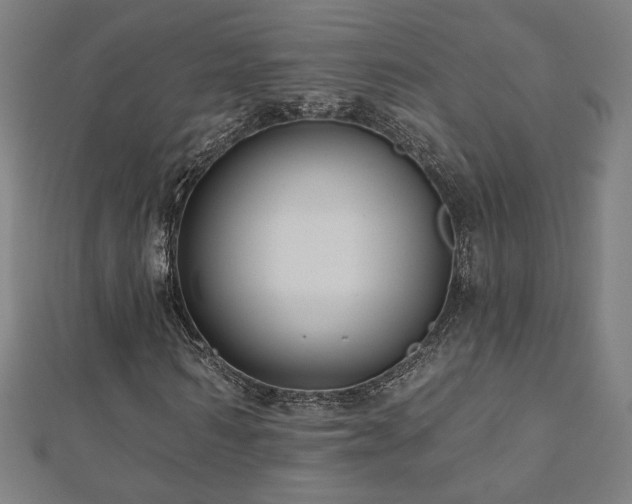 X0000112520962200908171351