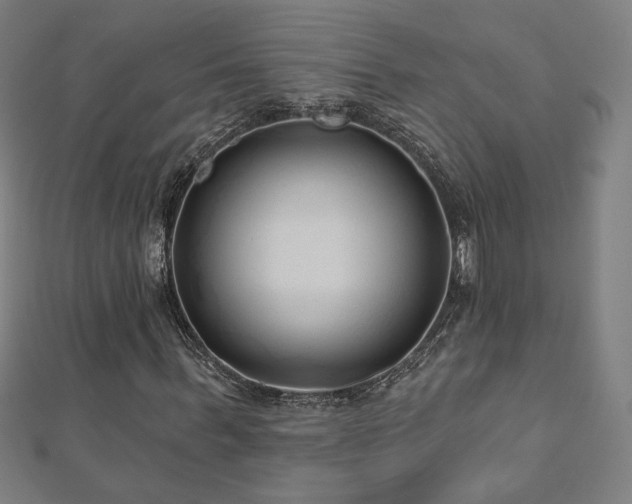 X0000112520963200908171351